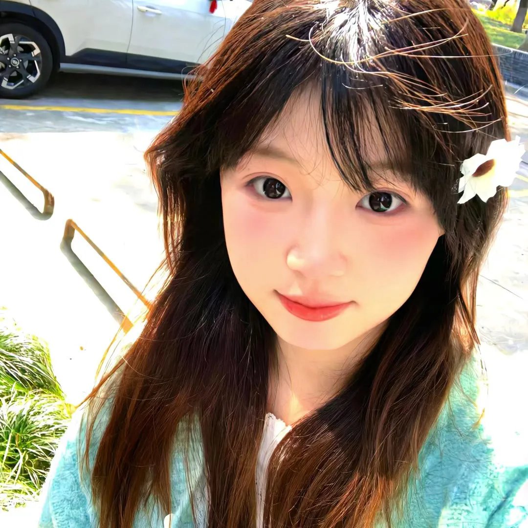小树的天空