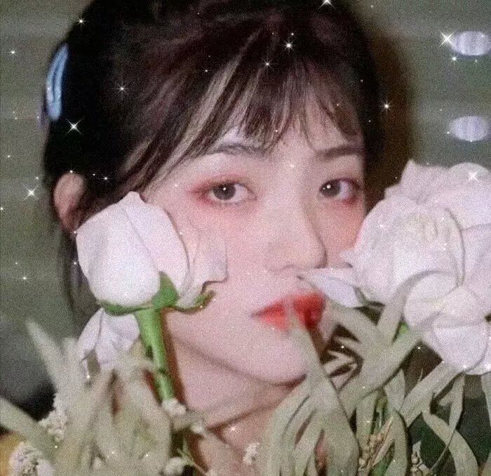 田园春梦
